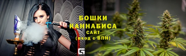 хмурый Ладушкин
