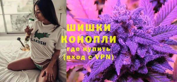 ПСИЛОЦИБИНОВЫЕ ГРИБЫ Лагань