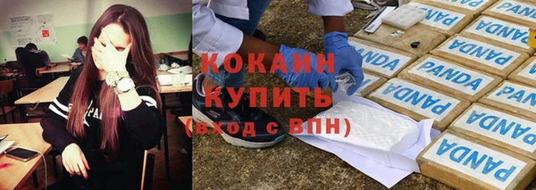 хмурый Ладушкин