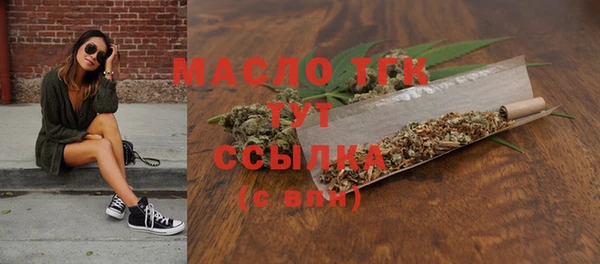хмурый Ладушкин