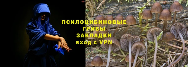 ПСИЛОЦИБИНОВЫЕ ГРИБЫ Лагань