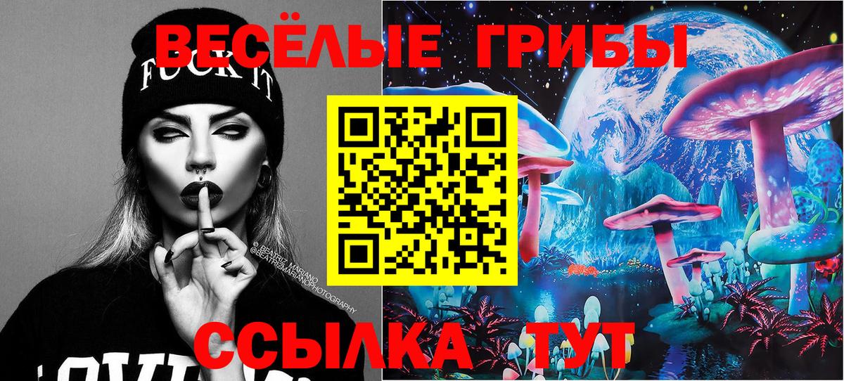 Галлюциногенные грибы MAGIC MUSHROOMS  Псилоцибиновые грибы Cubensis  Узловая  Вход с VPN 
